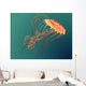 Chrysaora Sea Nettle Jellyfish Wall Decal