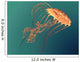 Chrysaora Sea Nettle Jellyfish Wall Decal