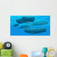 Pod Sperm Whales Swimming Wall Decal