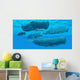 Pod Sperm Whales Swimming Wall Decal