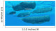 Pod Sperm Whales Swimming Wall Decal