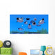 Pod Narwhal Whales Swim Wall Decal Design 1