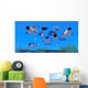 Pod Narwhal Whales Swim Wall Decal Design 1