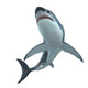 Great White Shark Illustration Wall Decal Design 1