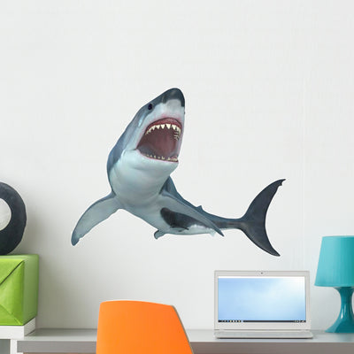 Fierce Great White Shark Wall Decal shown on a wall