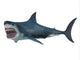 Great White Shark Side Wall Decal