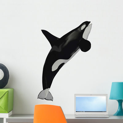 Killer Whale Illustration Wall Decal shown on a wall