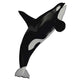 Killer Whale Illustration Wall Decal