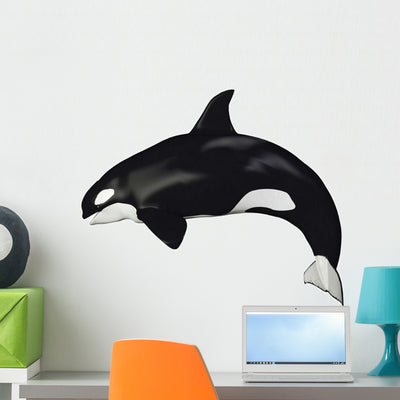 Killer Whale Illustration Side Wall Decal shown on a wall