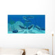 Pod Bottlenose Dolphins Tropical Wall Decal