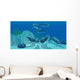 Pod Bottlenose Dolphins Tropical Wall Decal