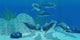 Pod Bottlenose Dolphins Tropical Wall Decal