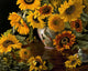 Sunflowers in a White Chinese Vase Wall Mural