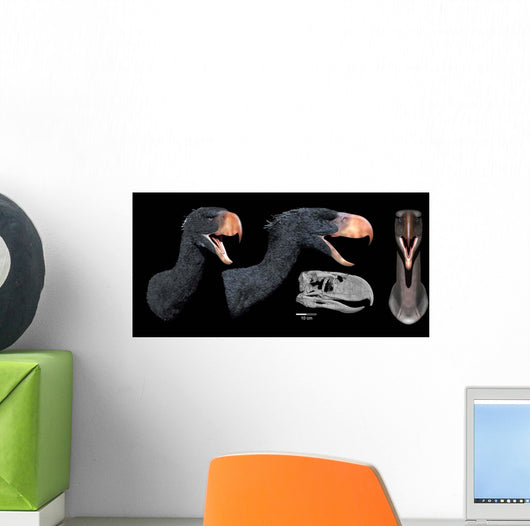 Head Reconstruction Andalgalornis Steulleti Wall Decal