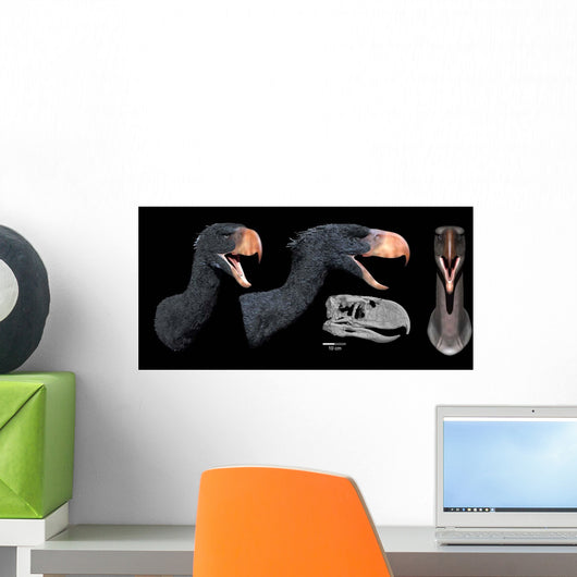 Head Reconstruction Andalgalornis Steulleti Wall Decal