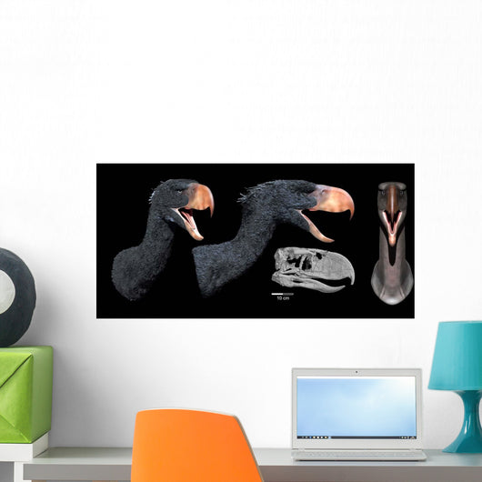 Head Reconstruction Andalgalornis Steulleti Wall Decal