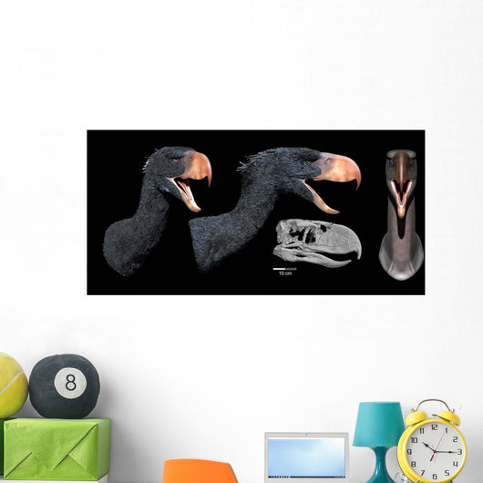 Head Reconstruction Andalgalornis Steulleti Wall Decal