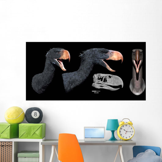 Head Reconstruction Andalgalornis Steulleti Wall Decal