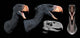 Head Reconstruction Andalgalornis Steulleti Wall Decal