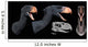 Head Reconstruction Andalgalornis Steulleti Wall Decal