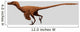 Velociraptor Mongoliensis Was Mid-sized Wall Decal Design 3