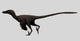 Velociraptor Mongoliensis Was Mid-sized Wall Decal Design 2