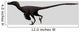 Velociraptor Mongoliensis Was Mid-sized Wall Decal Design 2