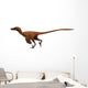 Velociraptor Mongoliensis Was Mid-sized Wall Decal Design 1