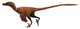 Velociraptor Mongoliensis Was Mid-sized Wall Decal Design 1