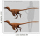Size Comparison Velociraptor Mongoliensis Wall Decal