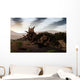 Herd Xenoceratops Foremostensis from Wall Decal