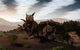 Herd Xenoceratops Foremostensis from Wall Decal
