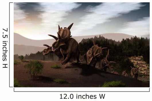 Herd Xenoceratops Foremostensis from Wall Decal