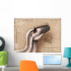 Yutyrannus Huali Is Feathered Wall Decal