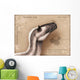 Yutyrannus Huali Is Feathered Wall Decal