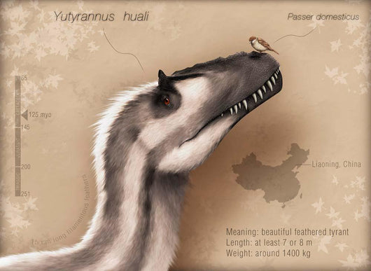 Yutyrannus Huali Is Feathered Wall Decal