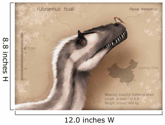 Yutyrannus Huali Is Feathered Wall Decal