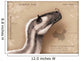 Yutyrannus Huali Is Feathered Wall Decal