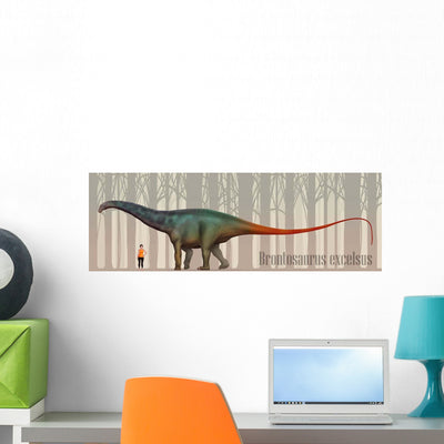 Brontosaurus Excelsus Size Comparison Wall Decal shown on a wall