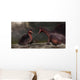 Confrontation between Two Spinosaurus Wall Decal