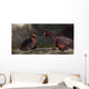 Confrontation between Two Spinosaurus Wall Decal