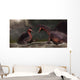 Confrontation between Two Spinosaurus Wall Decal