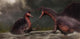 Confrontation between Two Spinosaurus Wall Decal