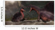 Confrontation between Two Spinosaurus Wall Decal