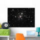 Abell 2666 Galaxy Cluster Wall Decal