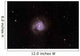 M61 Spiral Galaxy Virgo Wall Decal