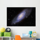 M106 Spiral Galaxy Wall Decal