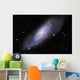 M106 Spiral Galaxy Wall Decal
