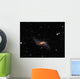 Ngc660 Distorted Polar Ring Wall Decal