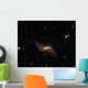 Ngc660 Distorted Polar Ring Wall Decal